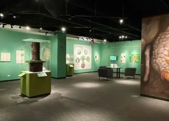 Photo of the inside of the Bess Bower Dunn Museum of Lake County