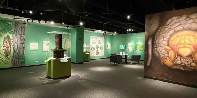 Photo of the inside of the Bess Bower Dunn Museum of Lake County